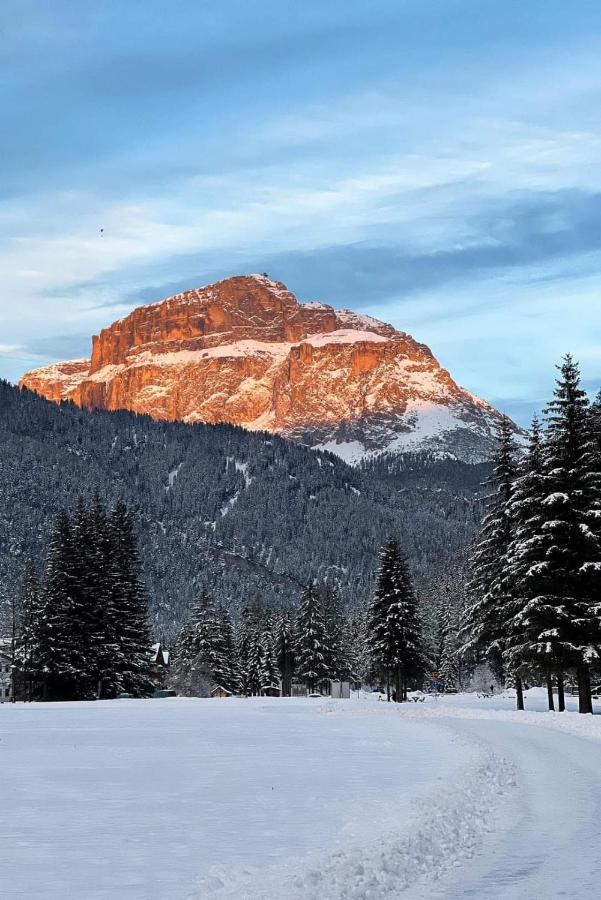 坎皮泰洛迪法萨Cesa Pier Sellaronda Dolomiti公寓 外观 照片