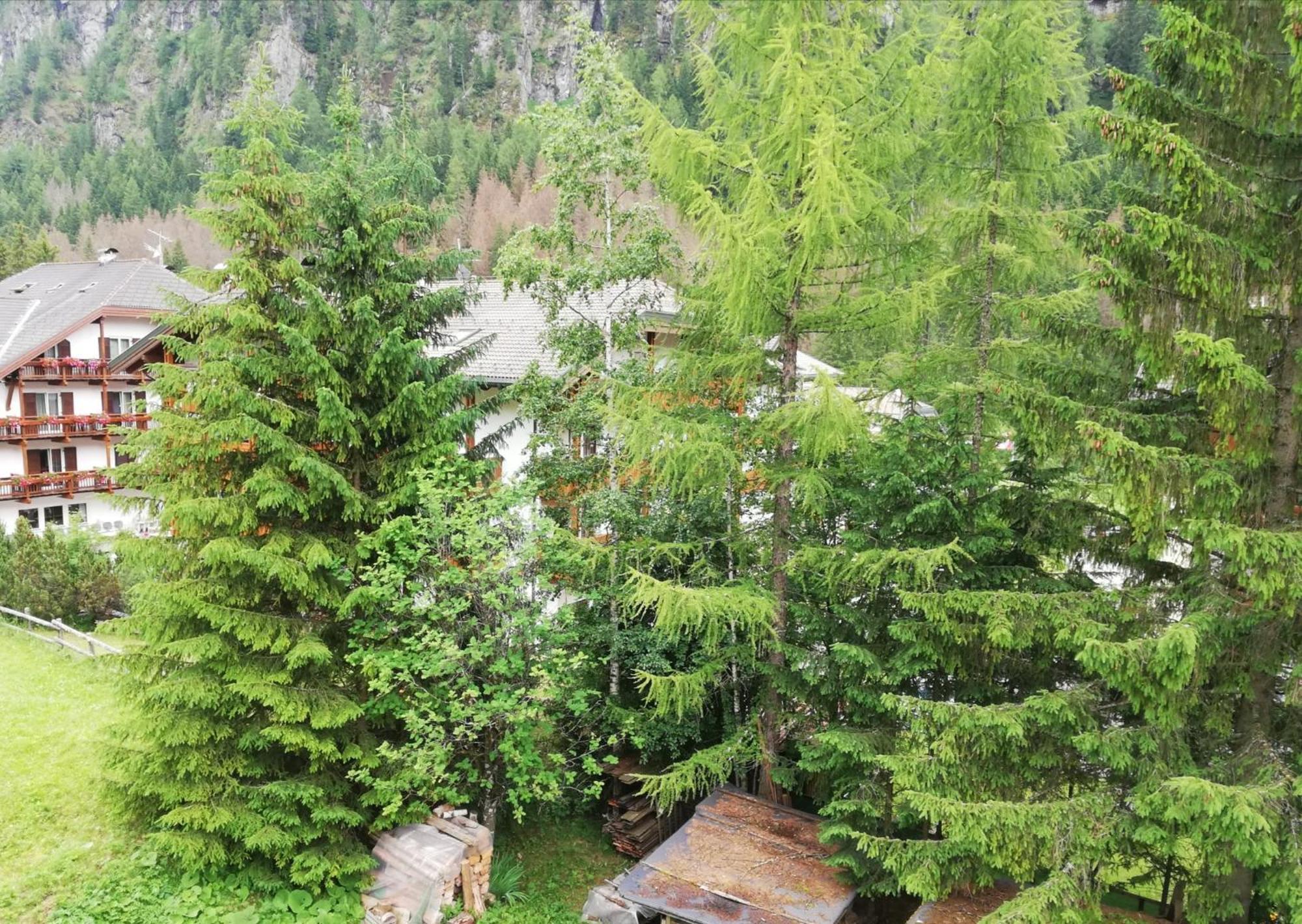 坎皮泰洛迪法萨Cesa Pier Sellaronda Dolomiti公寓 外观 照片
